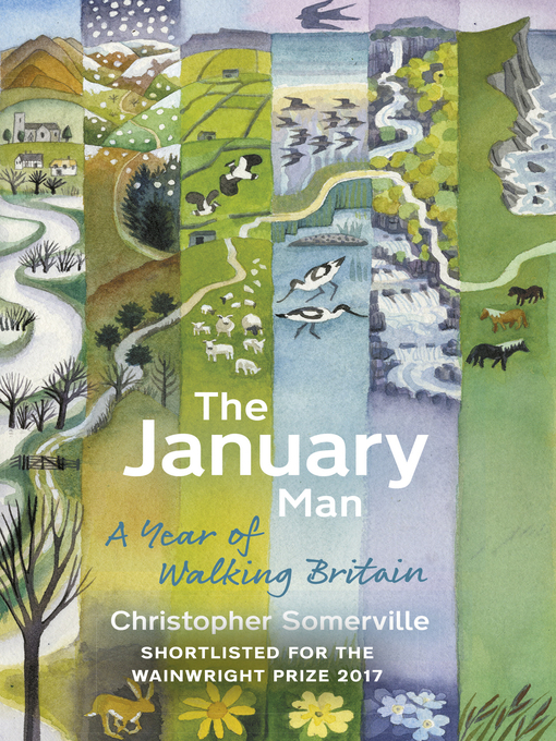 Cover image for The January Man